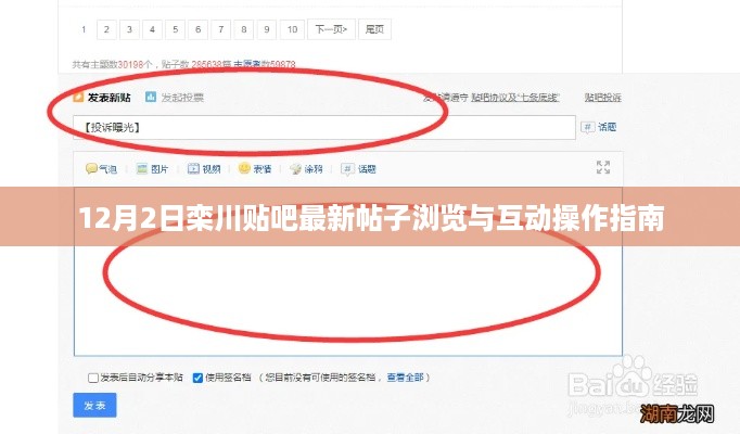 12月2日栾川贴吧最新帖子浏览与互动指南，轻松掌握浏览与互动操作技巧