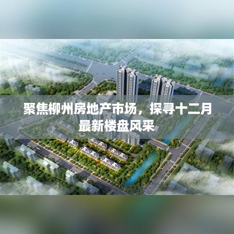 柳州十二月最新楼盘风采探寻，市场深度聚焦