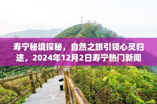 寿宁秘境探秘，自然之旅引领心灵归途，热门新闻发布于2024年12月2日