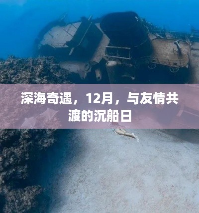 深海奇遇，与友情共渡的沉船日——12月的冒险之旅