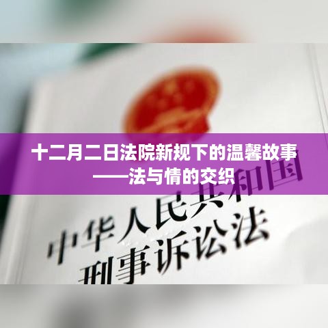 十二月法院新规下的温情故事，法与情的和谐交织