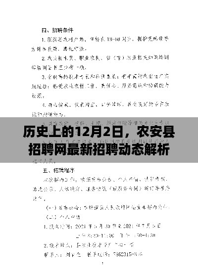 农安县招聘网最新招聘动态解析——历史12月2日视角