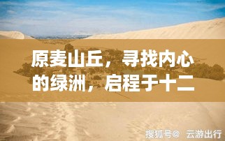 原麦山丘，十二月二日启程，寻找内心的绿洲之旅