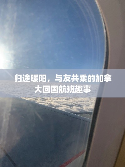 归途暖阳，加拿大回国航班的欢乐之旅