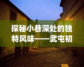 武屯初级中学周边小巷的特色小店探秘之旅