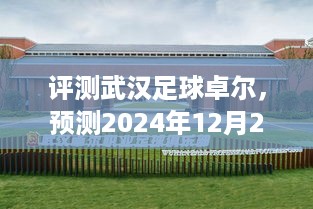 评测武汉足球卓尔，预测最新动态，展望2024年12月2日的发展前景