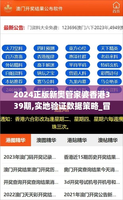 2024正版新奥管家婆香港339期,实地验证数据策略_冒险版67.690-4