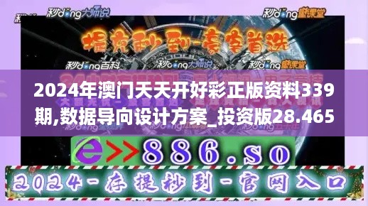 2024年澳门天天开好彩正版资料339期,数据导向设计方案_投资版28.465-4