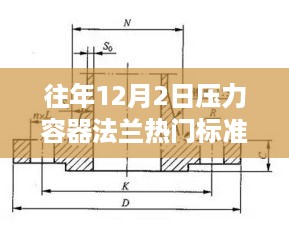 往年12月2日压力容器法兰热门标准深度解读与某某观点探析，专业探析与解读