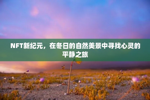 NFT新纪元，冬景心灵之旅探寻宁静之道