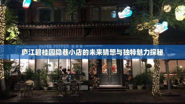 庐江碧桂园隐巷小店，未来猜想与独特魅力展望