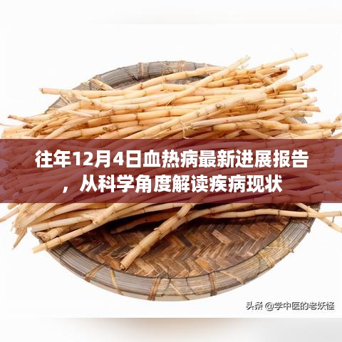 往年12月4日血热病最新进展报告，科学解读疾病现状