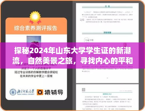 探秘山大新潮流，学生证下的自然美景之旅，寻找心灵宁静之道