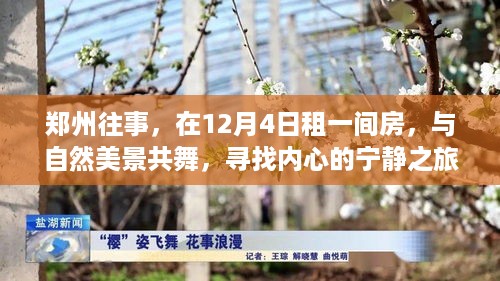 郑州往事，与自然美景共舞，寻找内心的宁静之旅——租一间房于12月4日启程