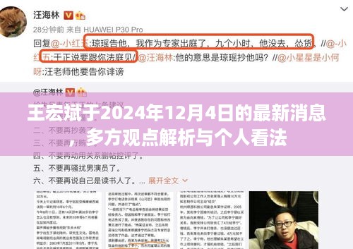 王宏斌最新消息解析，多方观点与个人看法（2024年12月4日）