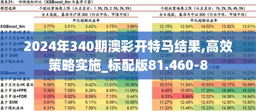 2024年340期澳彩开特马结果,高效策略实施_标配版81.460-8