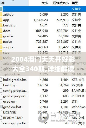 2004澳门天天开好彩大全340期,详细解读定义方案_尊享版24.787-9