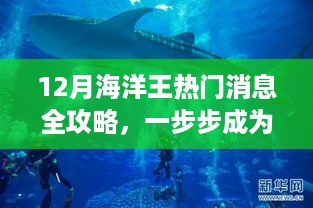 12月海洋王热门消息全解析，成为海洋探索达人的必备指南