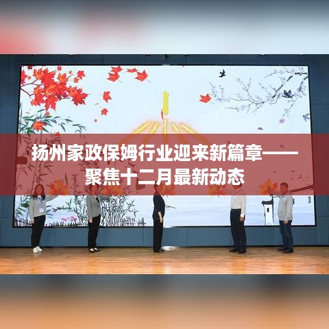 扬州家政保姆行业十二月新动态聚焦，行业迎来新篇章