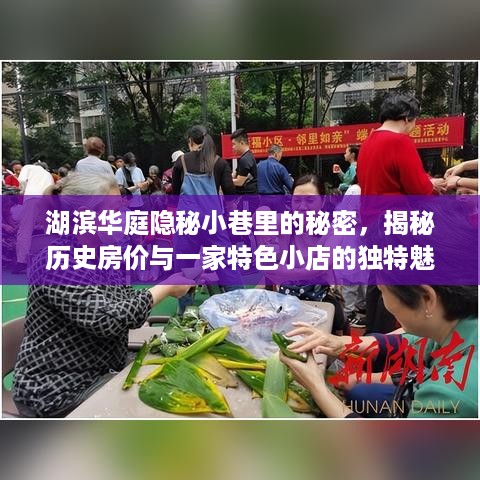 湖滨华庭隐秘小巷，历史房价揭秘与特色小店的独特魅力探索