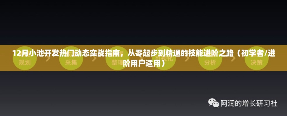 12月小池开发热门动态实战指南，零基础到精通的技能进阶之路