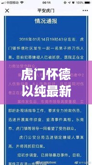 虎门怀德以纯最新招聘测评报告（预测至2024年12月）