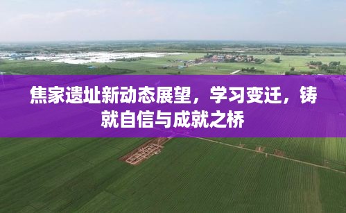 焦家遗址新动态展望，学习变迁与自信成就之桥的探索