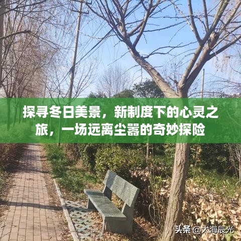 冬日心灵之旅，探寻新制度下的奇妙探险之旅