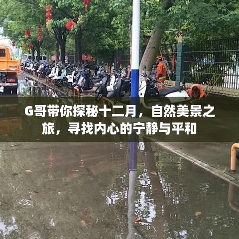 G哥引领的十二月自然美景之旅，探寻内心宁静与平和的秘境