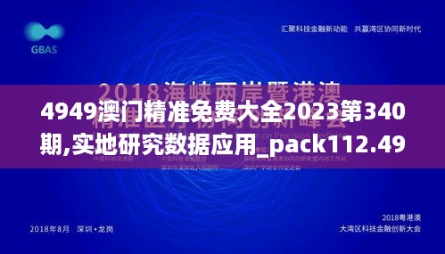 4949澳门精准免费大全2023第340期,实地研究数据应用_pack112.495-3