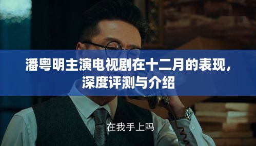 潘粤明主演电视剧十二月表现，深度评测与详细介绍