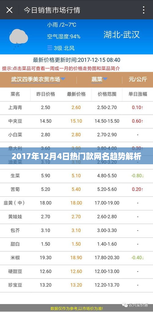 2017年12月4日热门款网名趋势深度解析