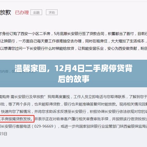 揭秘温馨家园背后的故事，二手房停贷背后的真相，12月4日深度解读