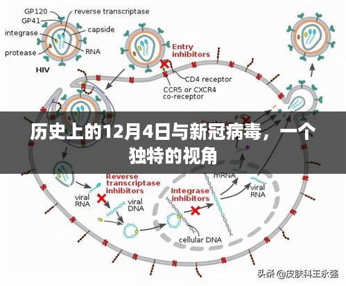 2024年12月5日 第15页