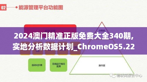 2024澳门精准正版免费大全340期,实地分析数据计划_ChromeOS5.229