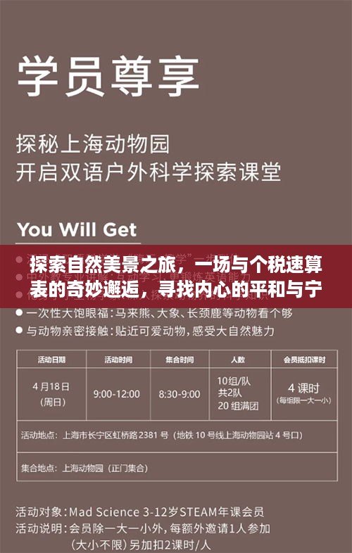 自然探索之旅，偶遇个税速算表，寻求内心平和与宁静的奇妙旅程