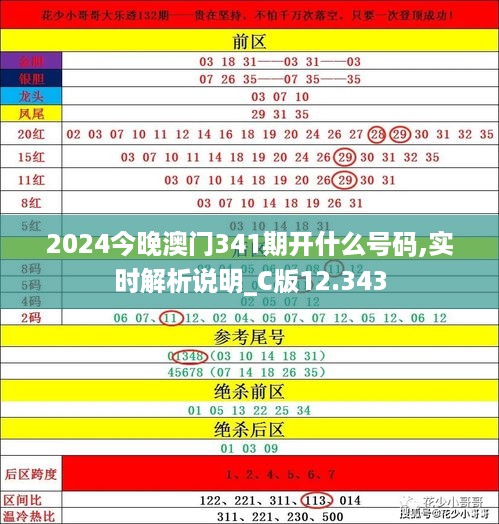 2024今晚澳门341期开什么号码,实时解析说明_C版12.343