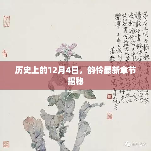 韵怜最新章节揭秘，历史上的十二月四日揭秘时刻