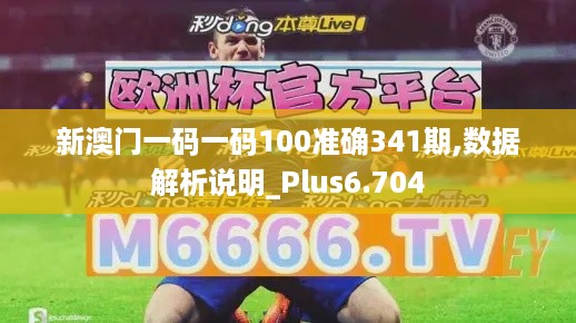 新澳门一码一码100准确341期,数据解析说明_Plus6.704