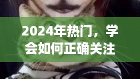 2024热门指南，正确关爱小猫，远离虐猫行为