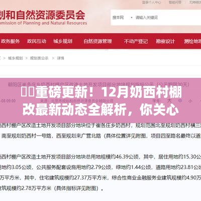 12月奶西村棚改最新动态解析，全面解读更新进展，你所关心的都在这里！