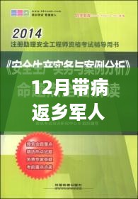 全面解读与案例分析，带病返乡军人的最新规定（十二月版）