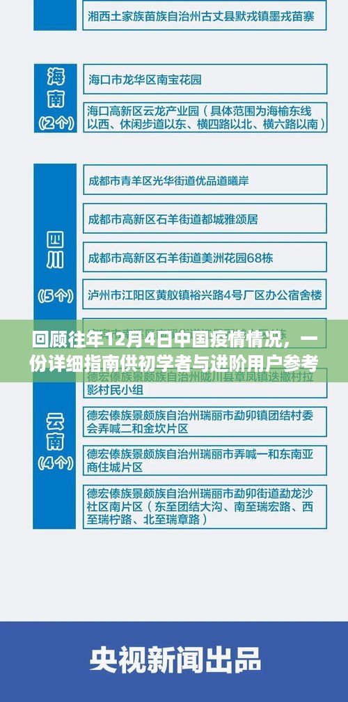 详细指南回顾，中国历年疫情情况回顾与参考（针对初学者与进阶用户）