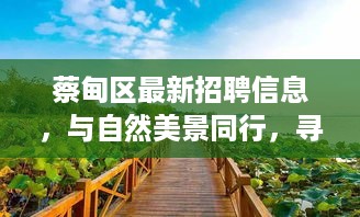 蔡甸区最新招聘，与自然美景同行的心灵宁静之旅