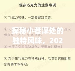 探秘小巷深处独特风味，揭秘最新开票规定下的惊喜小店，2024年12月4日实拍纪实