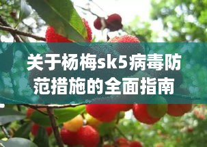 杨梅sk5病毒防范措施全面指南，从入门到精通（最新升级版）