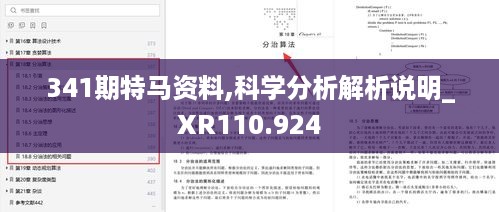 341期特马资料,科学分析解析说明_XR110.924