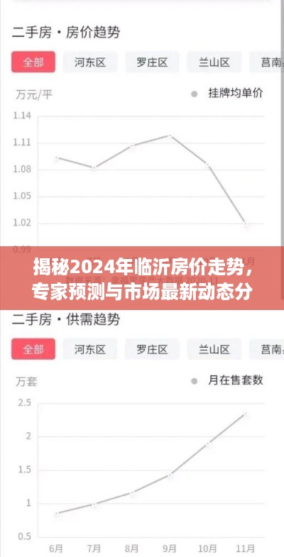 2024年12月6日 第22页