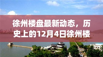 徐州楼盘最新动态及历史概览，初学者与进阶用户指南（12月4日版）