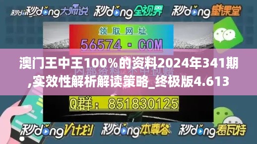 澳门王中王100%的资料2024年341期,实效性解析解读策略_终极版4.613